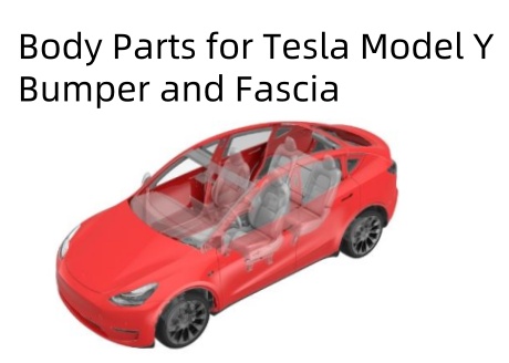 Die Liste der Körperteile und der Katalog für Tesla -Modell Y.